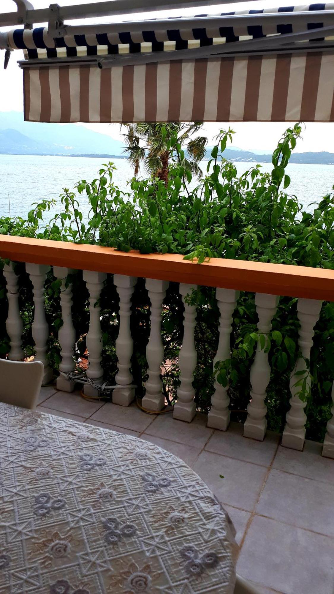 Apartmani Kalinic Bijela Δωμάτιο φωτογραφία